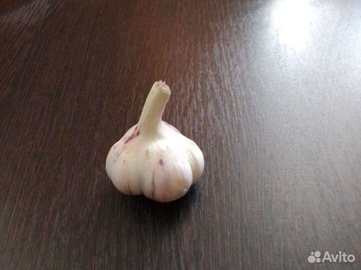 Семена чеснока