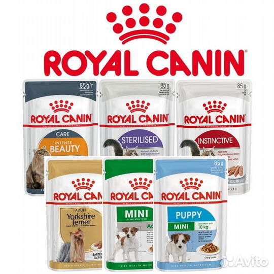 Рояк канин/Royal Canin влажный