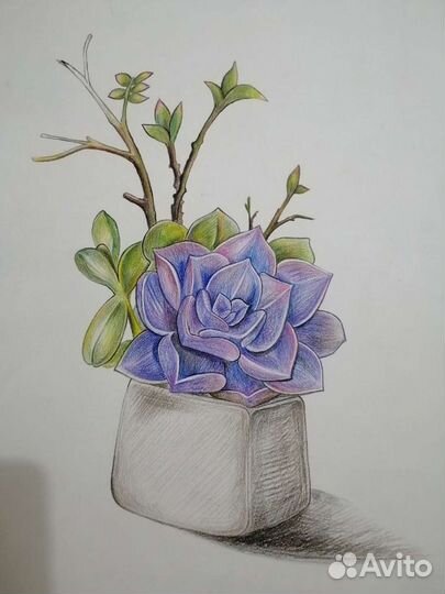 Рисунок в рамке