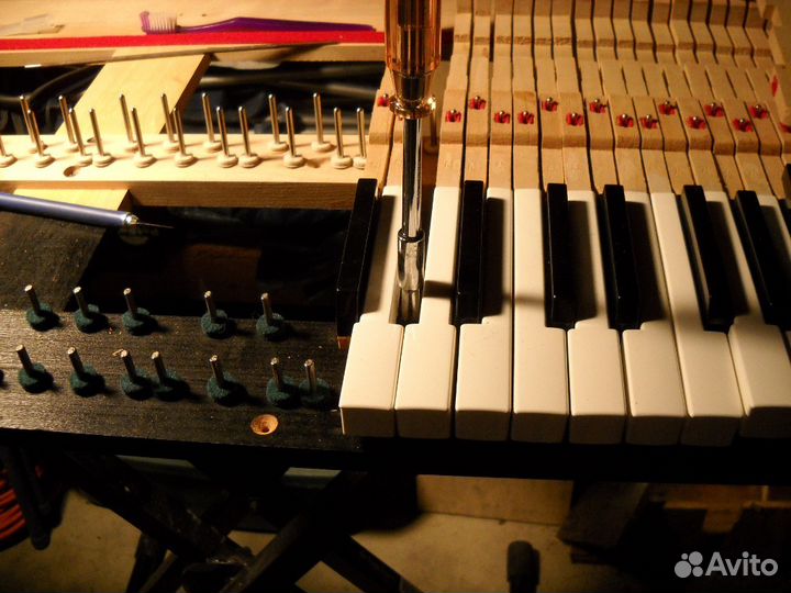 Настройка пианино и роялей