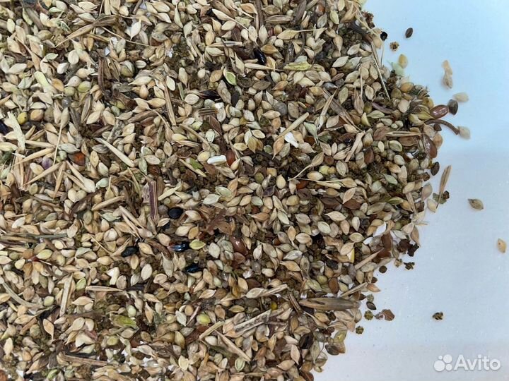 Рапс. Смесь для канареек. Семена для канареек