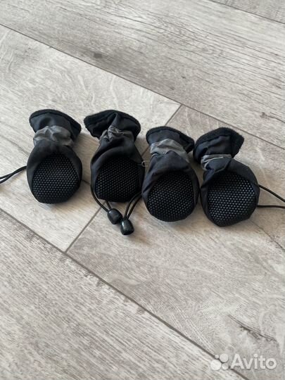 Обувь для собак