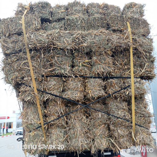 Сено кукурузное