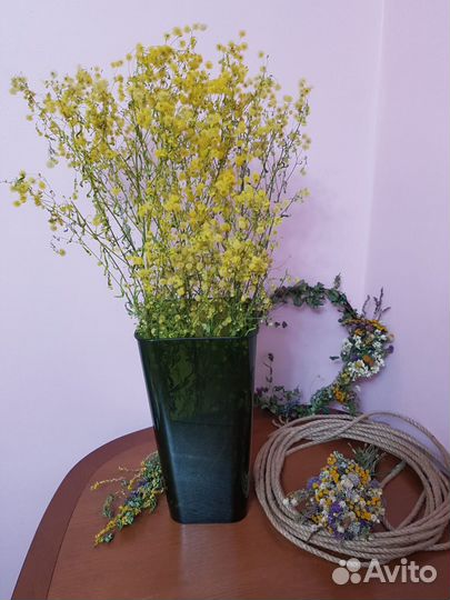 Сухоцвет в вазе