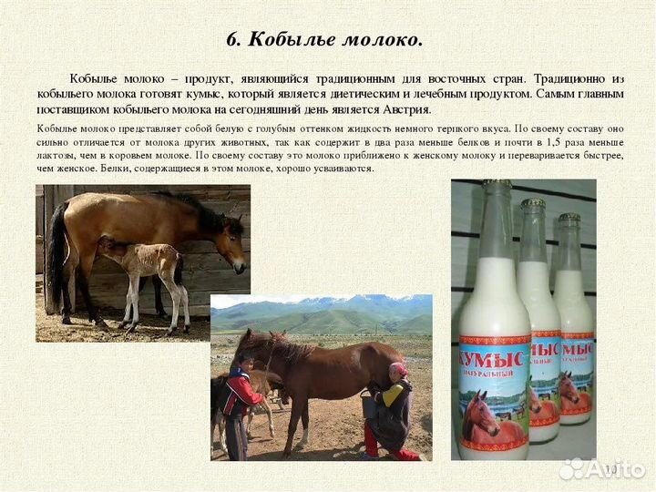 Кумыс