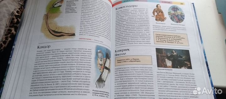 Энциклопедия для школьника