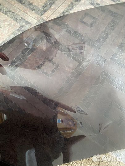 Съемная жесткая тонировка лада гранта