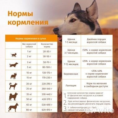 Корм для собак Живая сила говядина и свинина