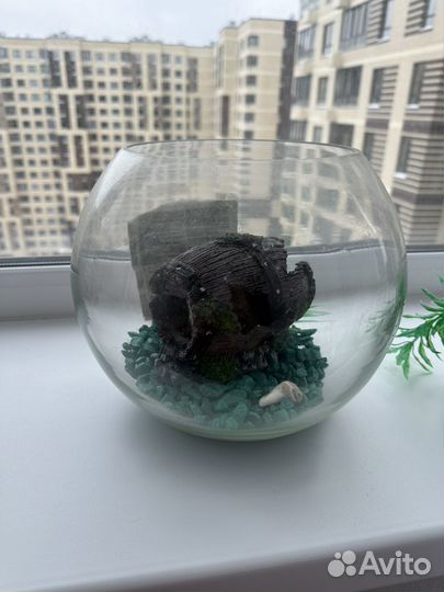 Аквариум и декор