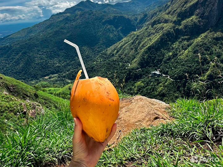 Горящие туры на Шри-Ланку
