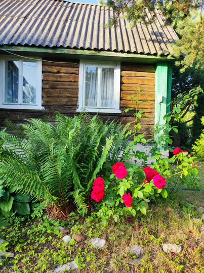 Дача 16,3 м² на участке 6 сот.