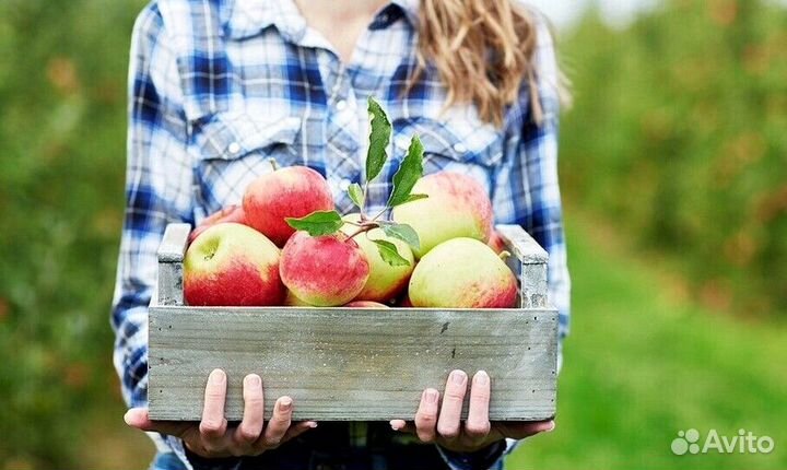 Сборщик. Вахта