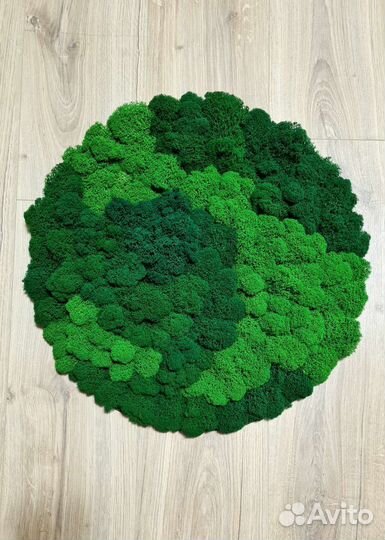 Панно из мха, картины из стабилизированного мха