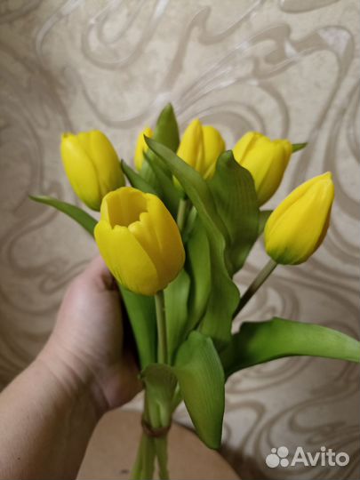 Тюльпаны