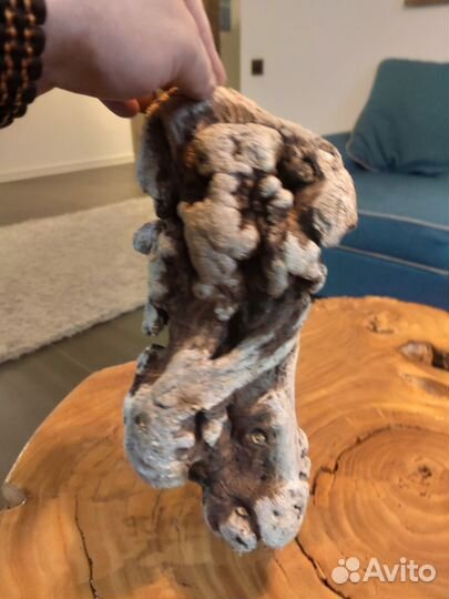 Коряги для аквариума или декора