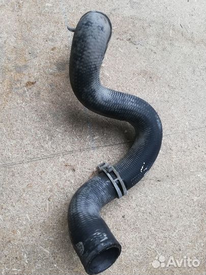 Патрубок радиатора нижний фокус 2 1.6