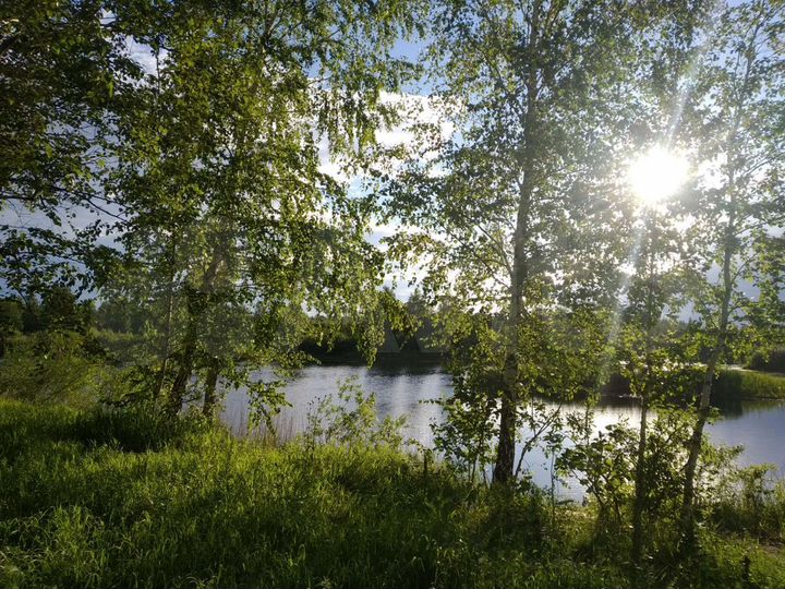 Дача 30 м² на участке 9 сот.