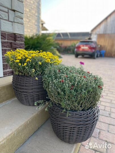 Кашпо из ротанга 12 литров