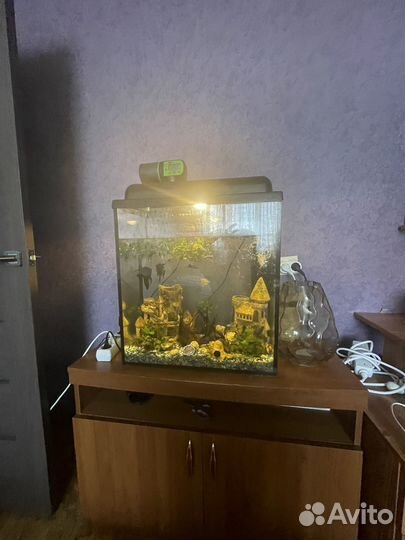 Аквариум с рыбками и тумбой