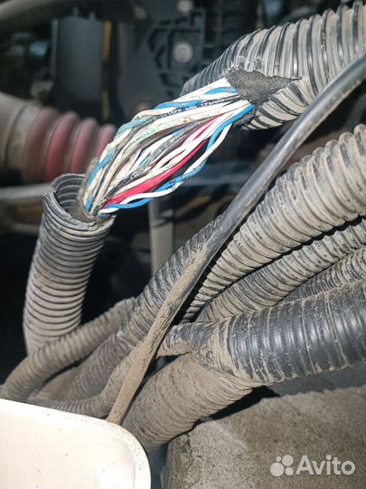 Грузовой автоэлектрик