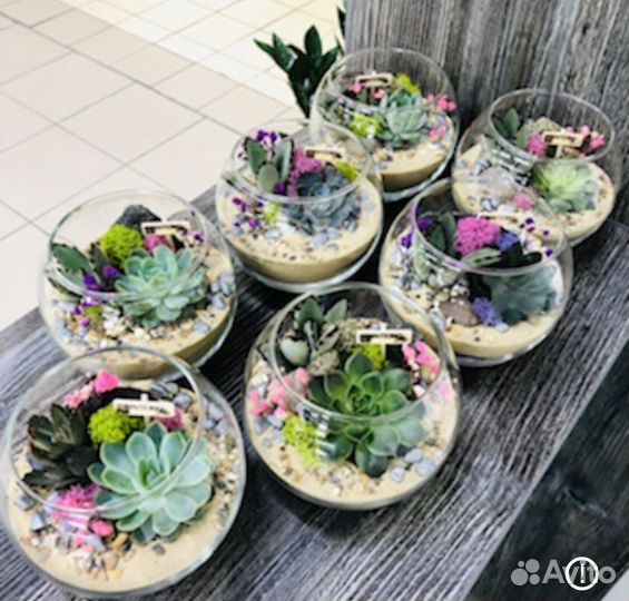 Флорариум корпоративные подарки