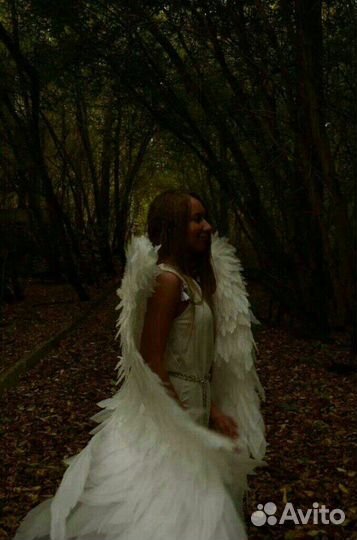 Крылья Ангела