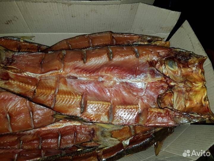 Жерех и язь холодного копчения