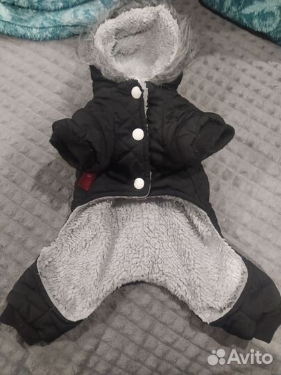 Одежда для собак