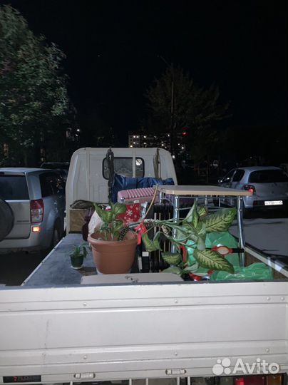 Грузоперевозки