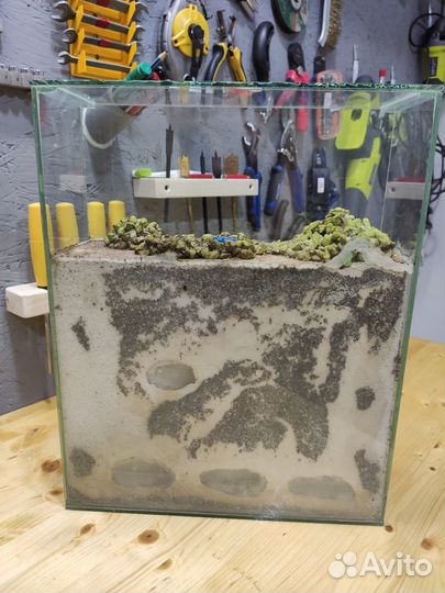 Формикарий муравьиная ферма