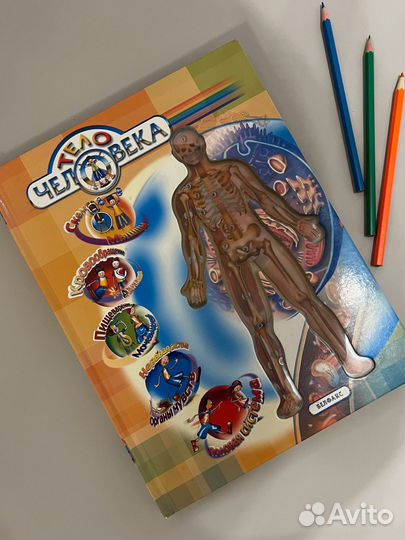 Книга Тело человека