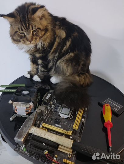 Ремонт компьютеров - п. Южный