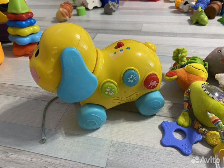 Собачка каталка музыкальная