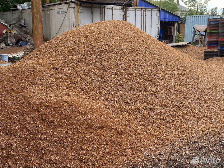 Кедровая шелуха