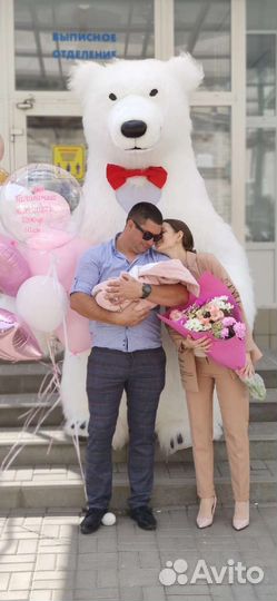 Белый Мишка поздравление с муз. сопровождением