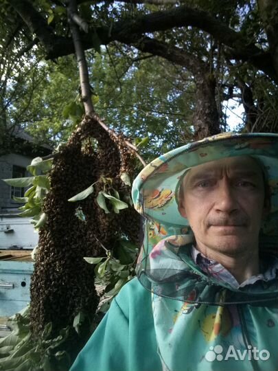 Продам мёд майский и разнотравие со своей пасеки