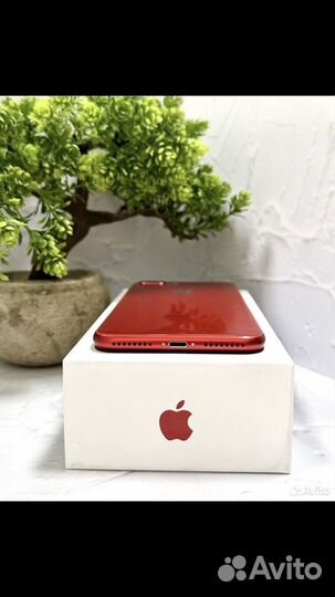 iPhone 8 Plus, 64 ГБ