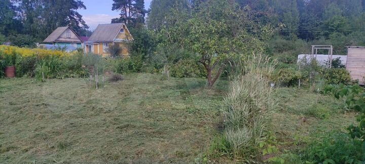 Участок 6 сот. (СНТ, ДНП)