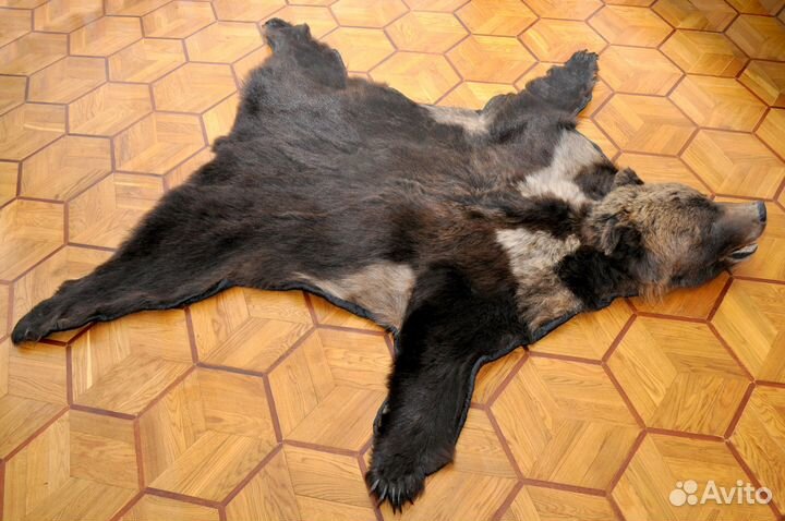 Шкура медведя имитация с головой