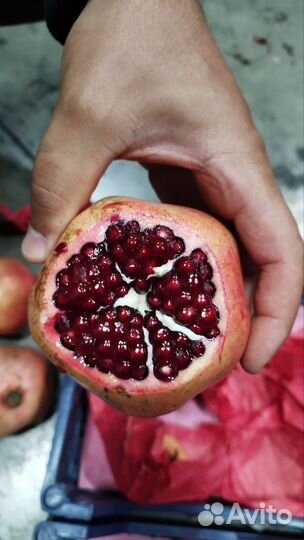 Овощи и фрукты оптом