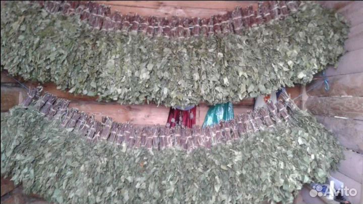 Веники для бани деревенские