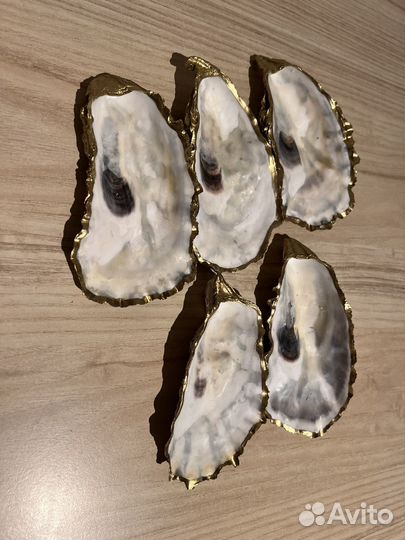 Створки устриц