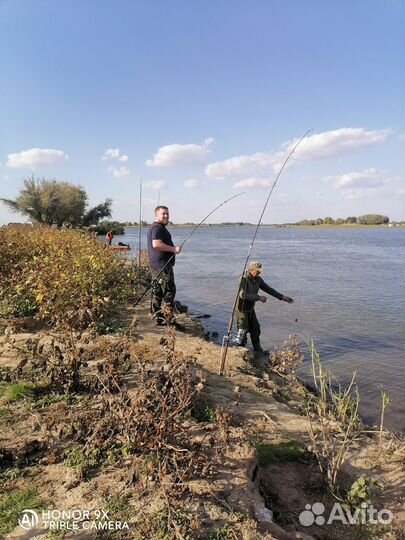 Организация рыбалки