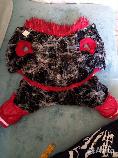 Комбинезон для маленькой собачки