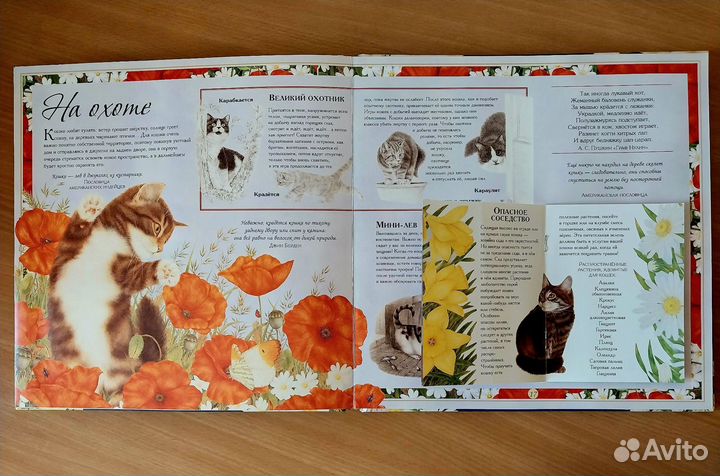 Детские книги, фэнтези, психология, красота