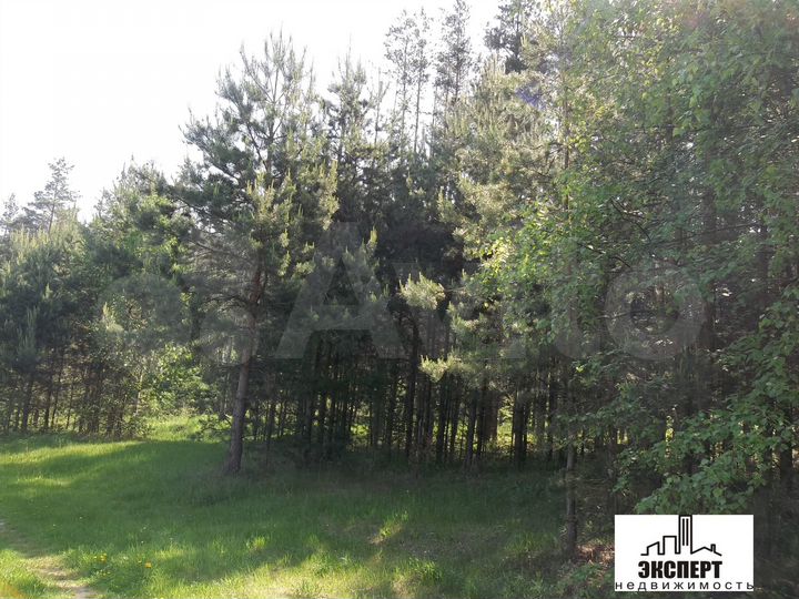 Дом 50 м² на участке 29 сот.