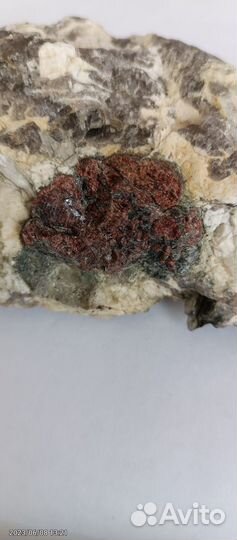 Кристаллы гранат-альмандина в пегматите.№524