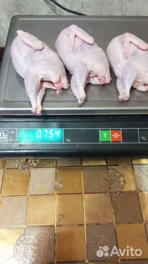 Мясо перепела