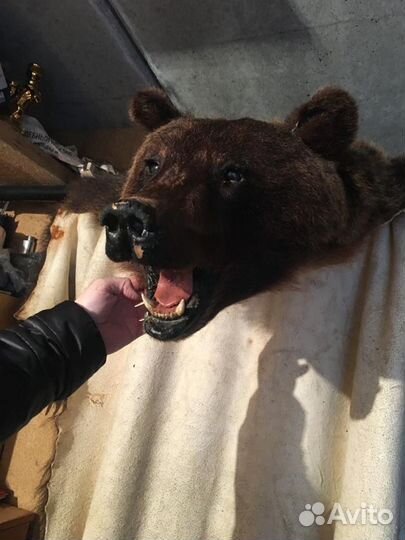 Имитация медведя