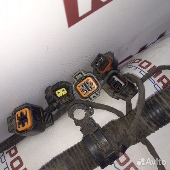 Проводка двигателя коса 1.4 G4FA Киа Сид 2 KIA CE